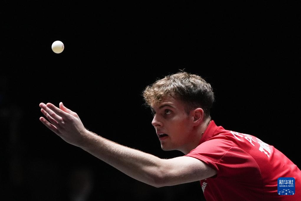 这一系列的 这一系列的