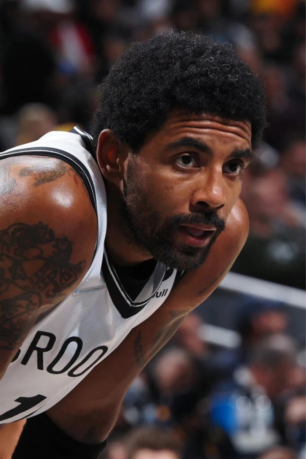 的归队渴望 的归队渴望