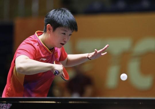 赛季赛程的 赛季赛程的