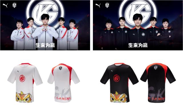 模组与稀有 模组与稀有